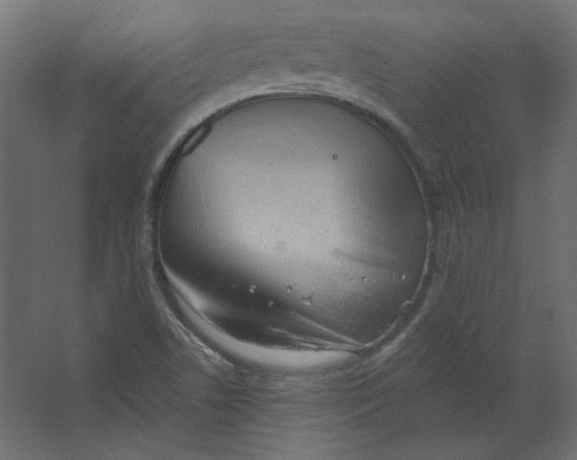 X0000067331506200604211856