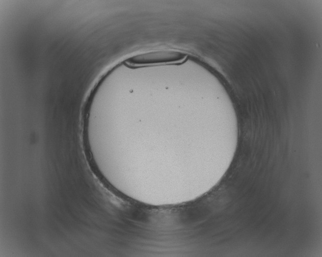 X0000067331508200604211856