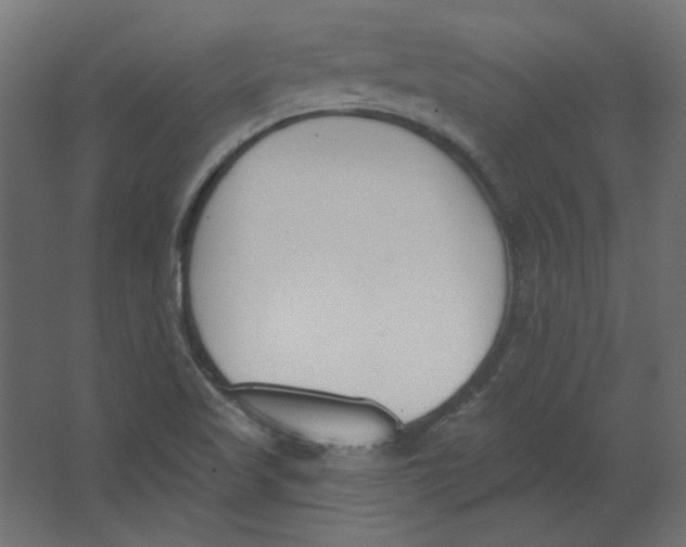 X0000067331509200604211856