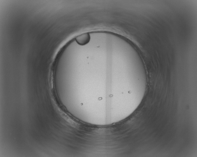 X0000067331510200604211856