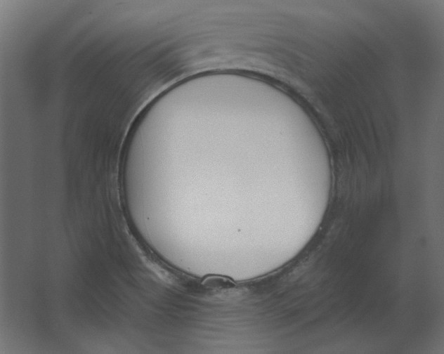 X0000067331513200604211856