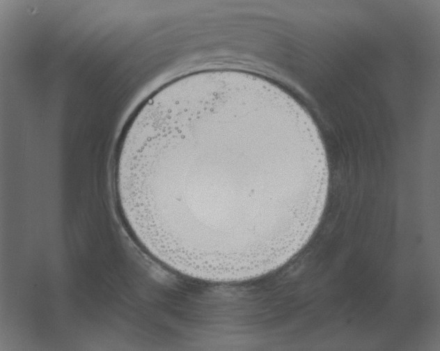 X0000067331514200604211856