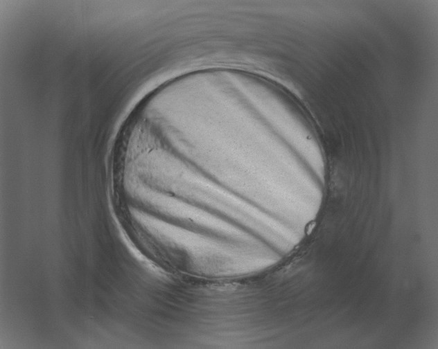 X0000067331515200604211856