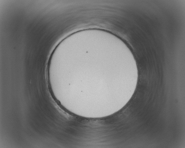 X0000067331516200604211856