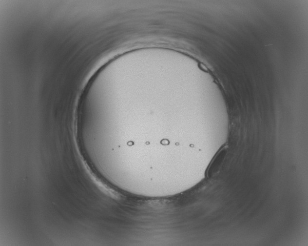 X0000067331523200604211856