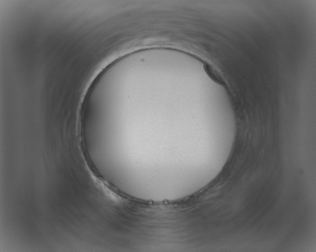 X0000067331527200604211856