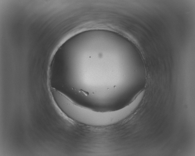 X0000067331528200604211856