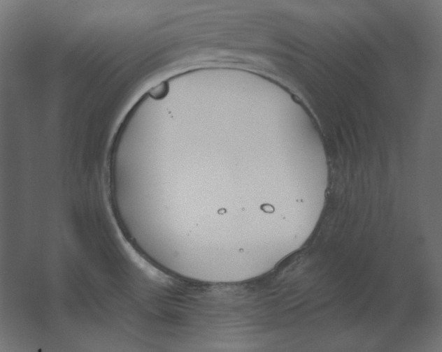 X0000067331531200604211856