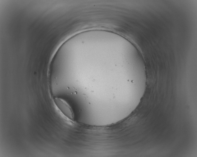 X0000067331532200604211856