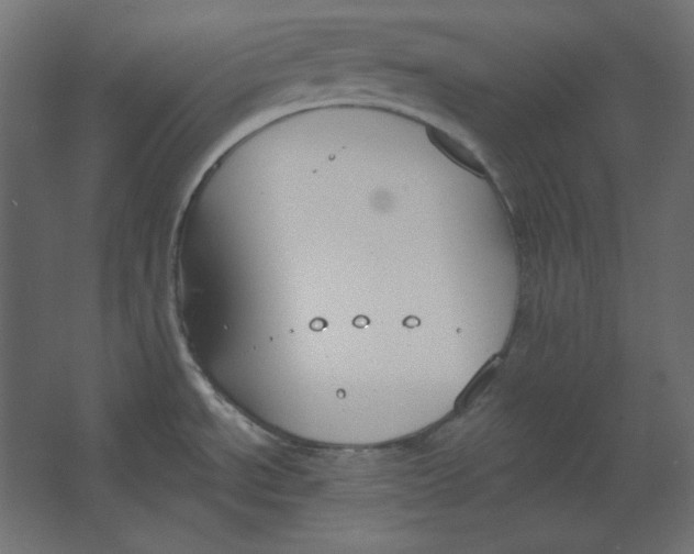 X0000067331534200604211856