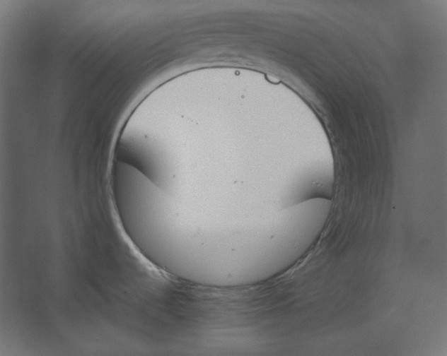 X0000067331536200604211856