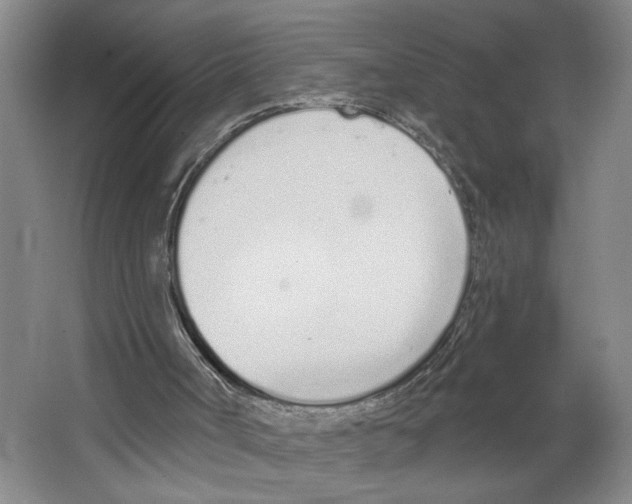 X0000067330002200604281431