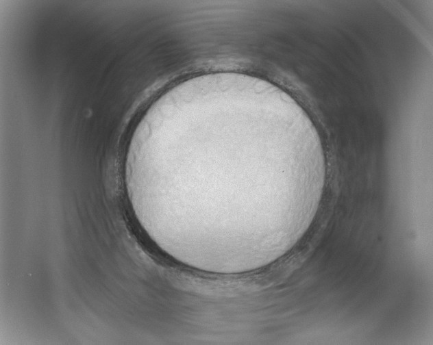 X0000067330012200604281431