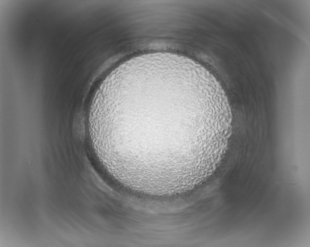 X0000067330016200604281431