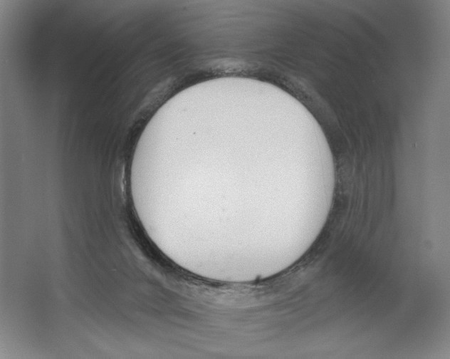 X0000067330024200604281431