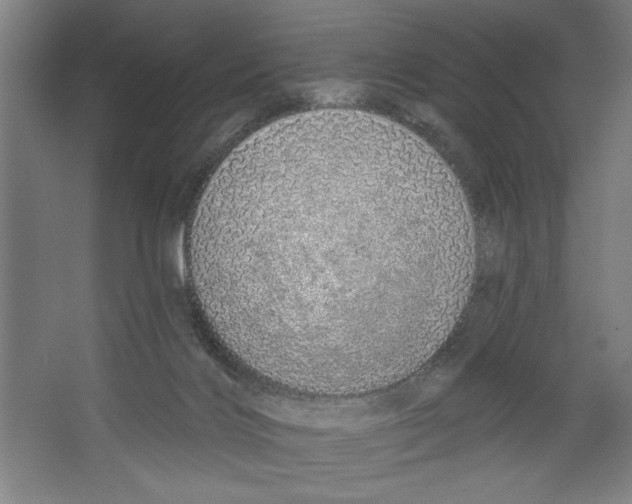 X0000067330028200604281430