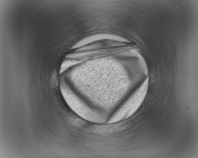 X0000067330029200604281430