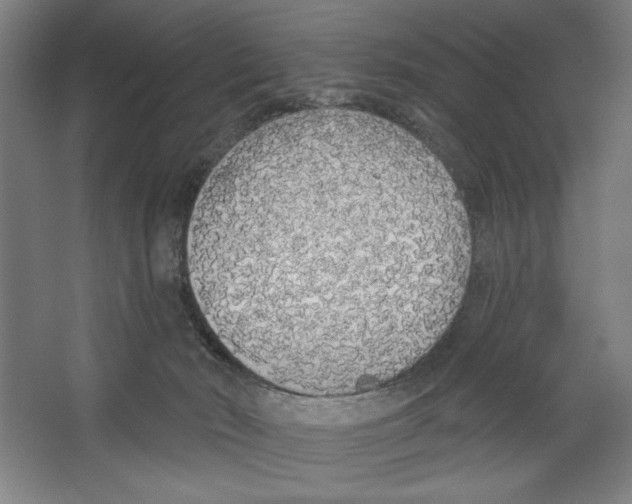 X0000067330030200604281430