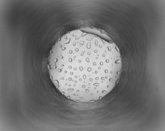 X0000067330034200604281430