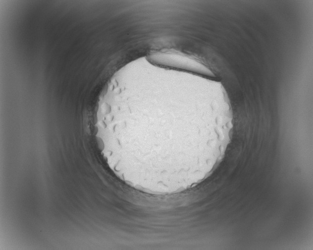 X0000067330038200604281430