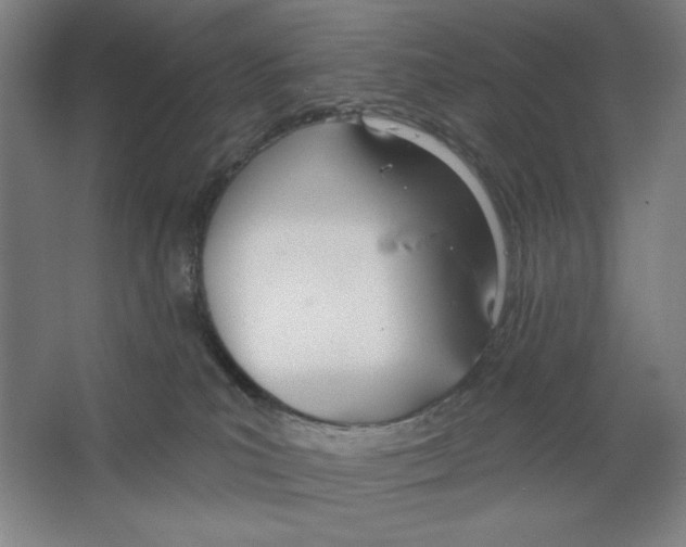 X0000067330039200604281430