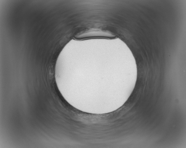 X0000067330040200604281430