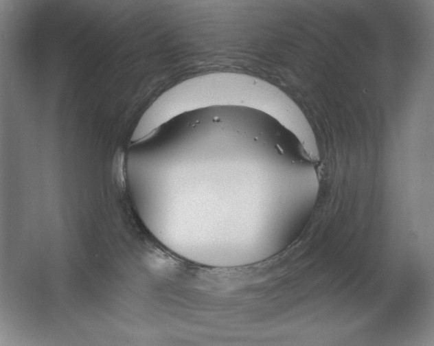X0000067330041200604281430