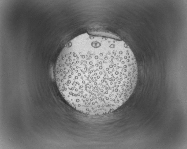 X0000067330042200604281430