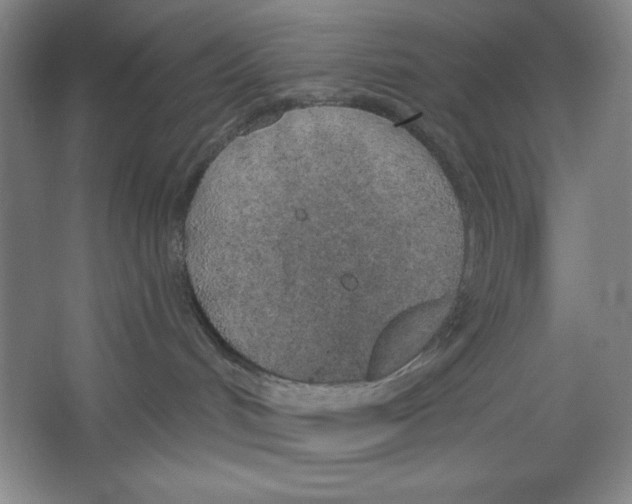 X0000067330048200604281430