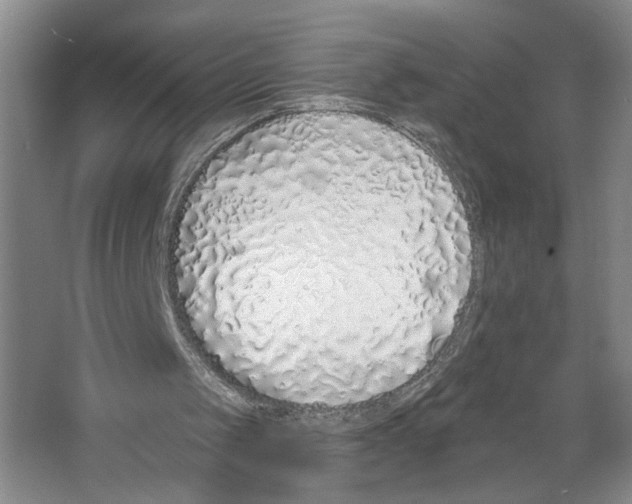 X0000067330049200604281429