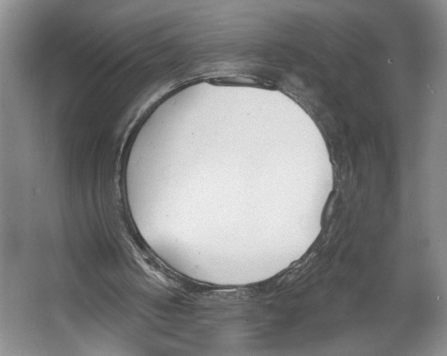 X0000067330050200604281429