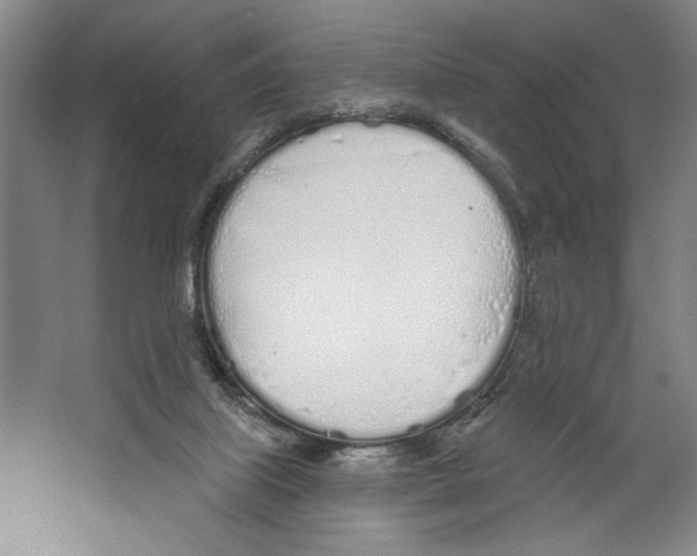 X0000067330067200604281430