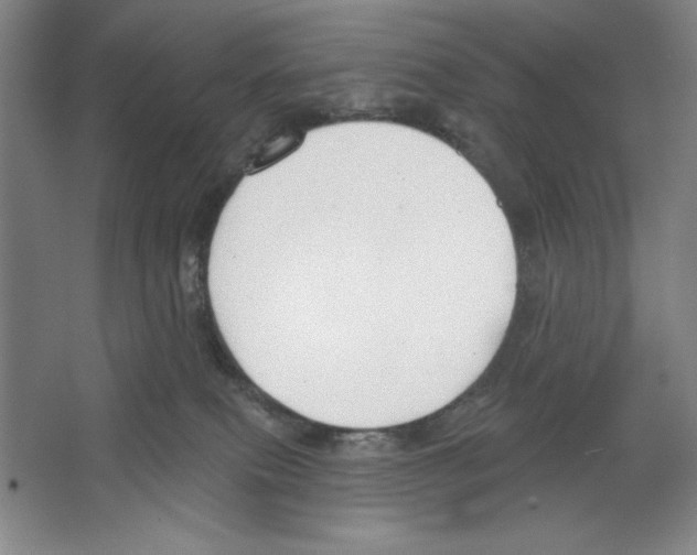 X0000067330087200604281430