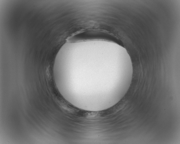 X0000067330088200604281430