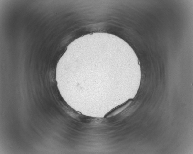 X0000067330096200604281430