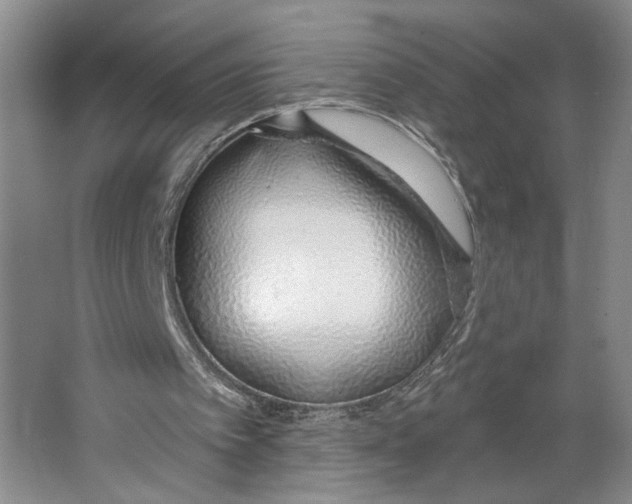 X0000067330097200604281429