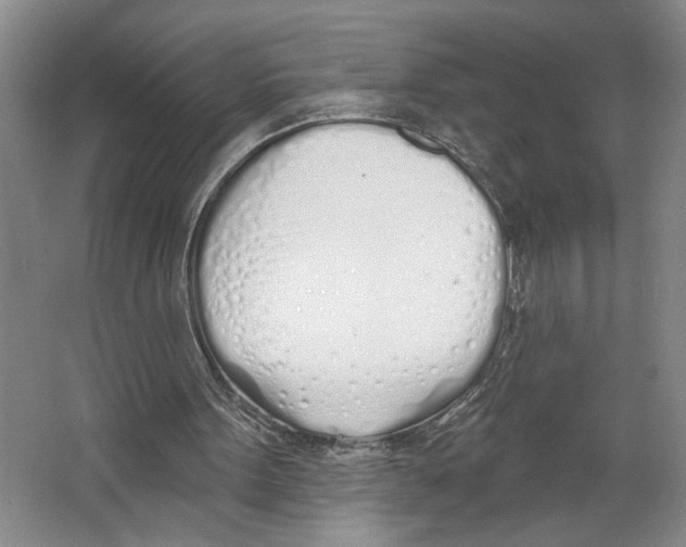 X0000067330099200604281429
