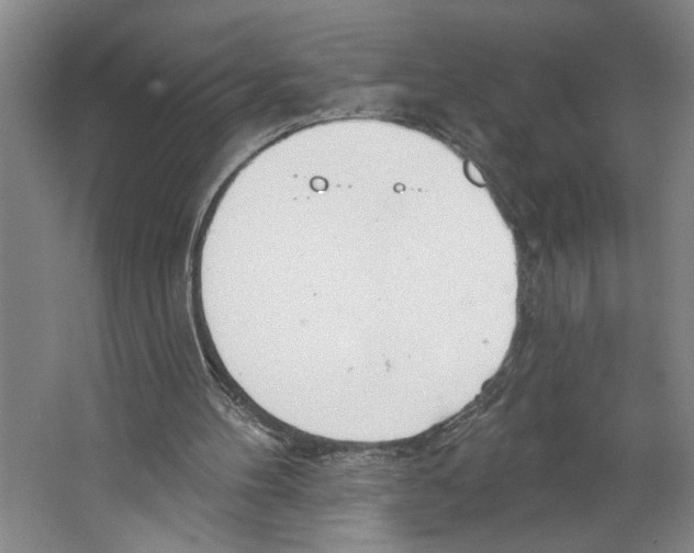 X0000067330100200604281429