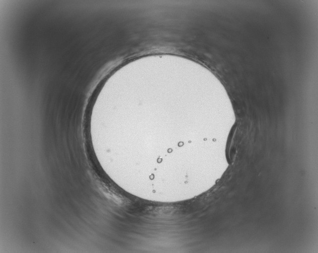 X0000067330104200604281429