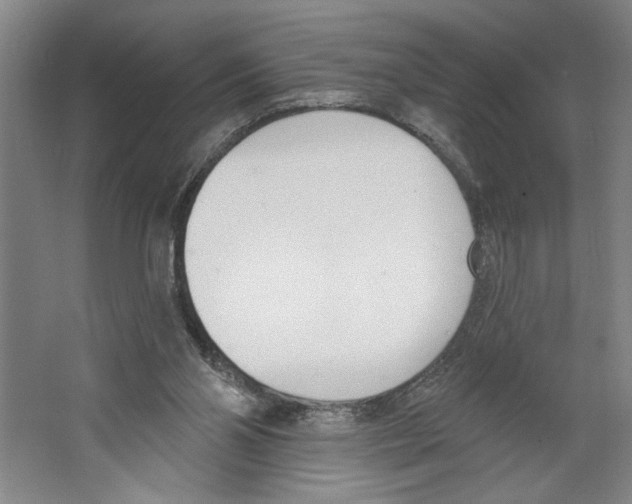 X0000067330110200604281429