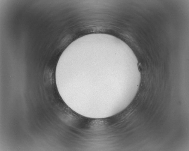 X0000067330123200604281429
