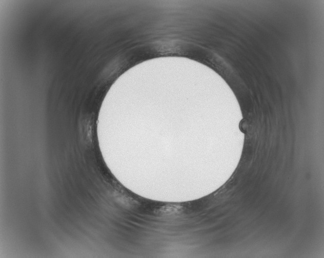 X0000067330124200604281429