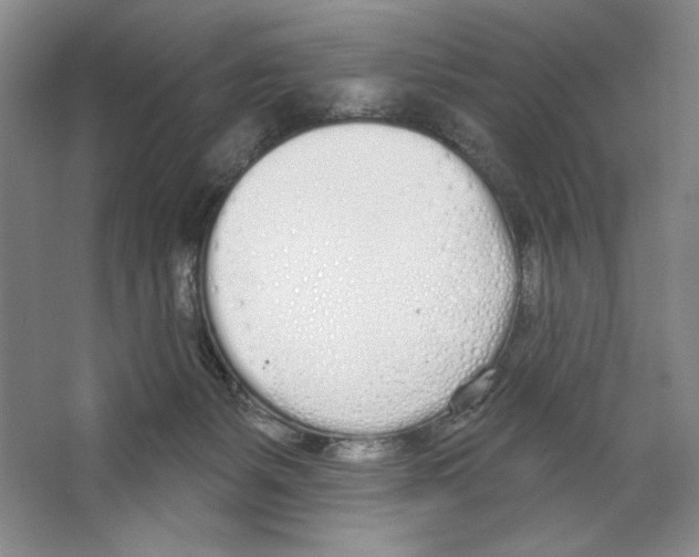 X0000067330127200604281429