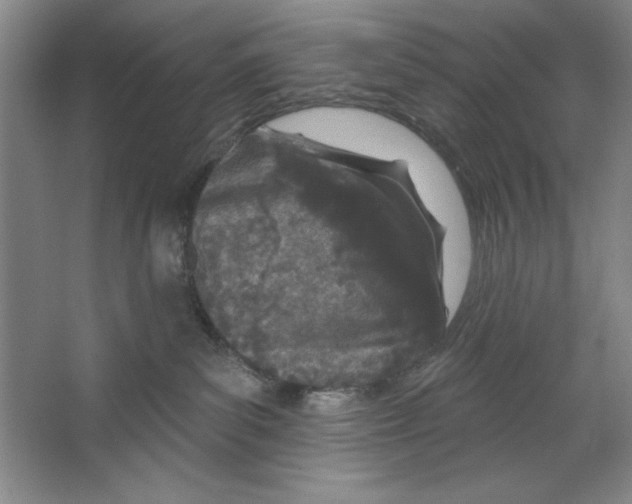 X0000067330139200604281429