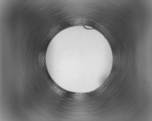 X0000067330142200604281429