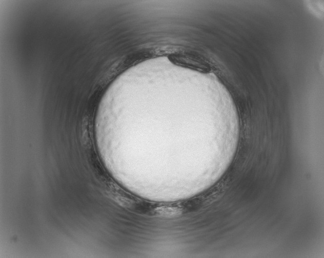 X0000067330169200604281428