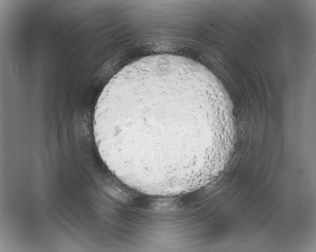 X0000067330175200604281428
