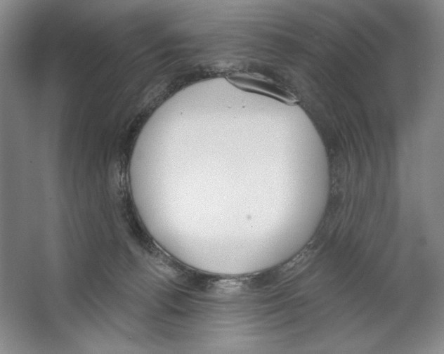 X0000067330176200604281428