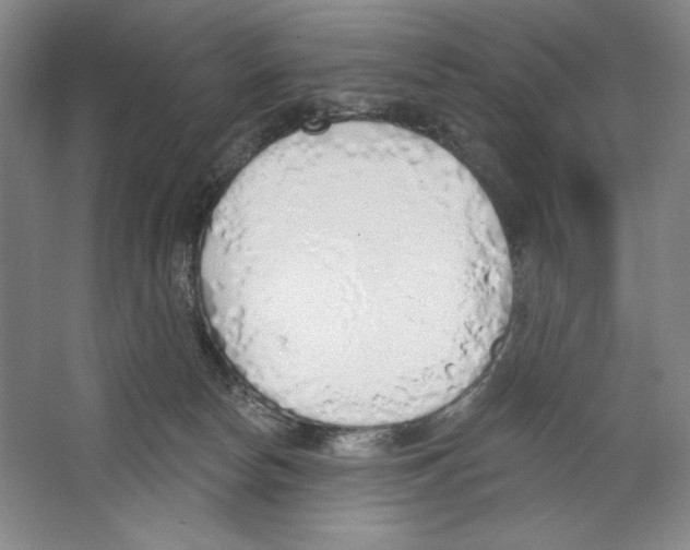 X0000067330178200604281428