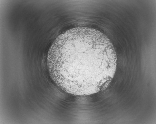 X0000067330181200604281428